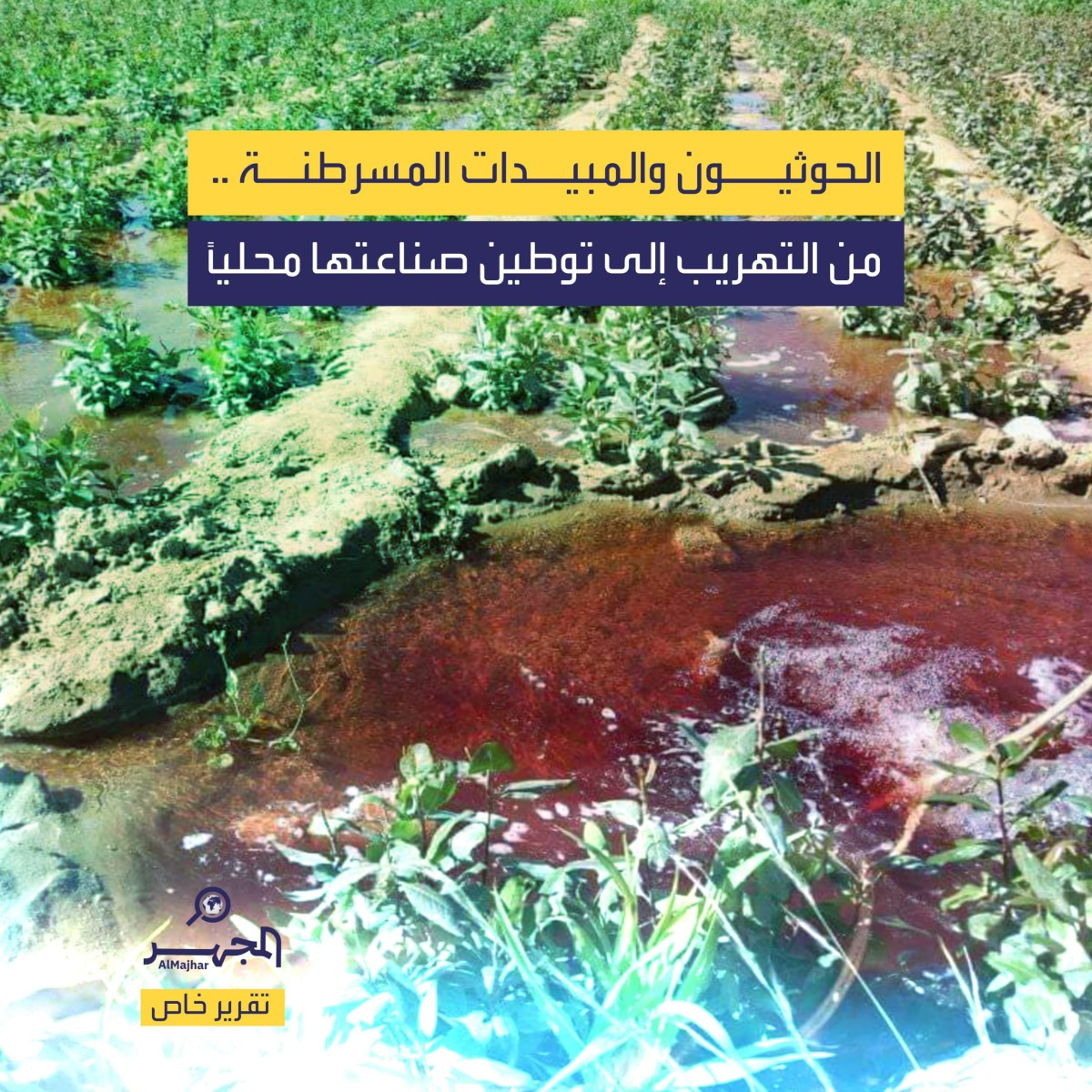 الحوثيون والمبيدات المسرطنة.. من التهريب إلى توطين صناعتها محليًا (تقرير خاص)