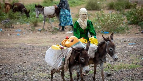 تقرير: اليمن يدرس زراعة الأراضي "البور" لتخفيف الأزمة الغذائية