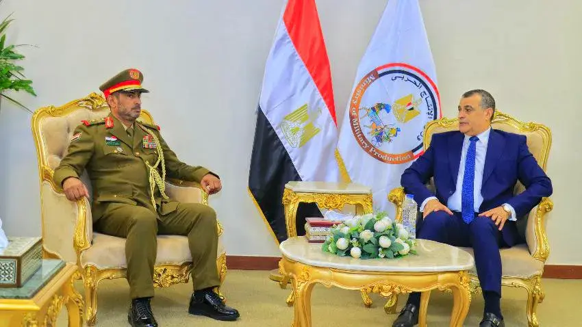 مباحثات يمنية مصرية لتعزيز التعاون الأمني والعسكري في البحر الأحمر