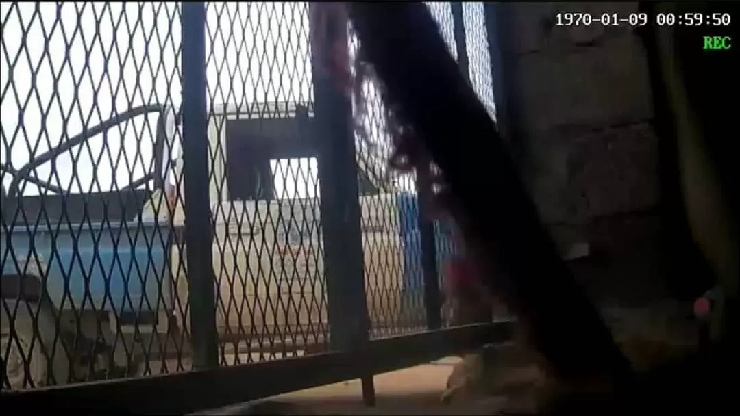 الحوثيون يعتقلون مدنيين في قرية بني علي بذمار على خلفية نزاع قبلي