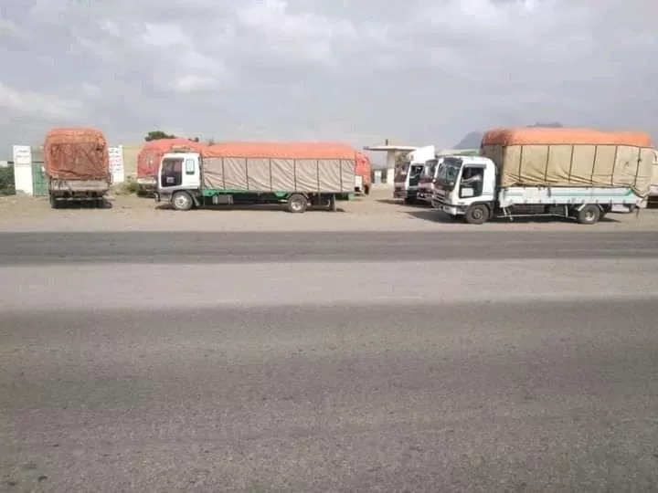 مزارعو الموز في تهامة يتكبدون خسائر فادحة بفعل جبايات الحوثيين